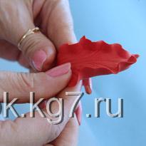 00056432 (205x205, 10Kb)