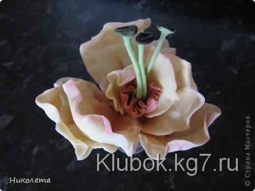 Мастер-класс, Материалы и инструменты, Поделка, изделие Лепка: самый простой рецепт холодного фарфора (мастики) БЕЗ КЛЕЯ!!! Фарфор холодный Отдых. Фото 10 Мастер-класс, Материалы и инструменты, Поделка, изделие Лепка: самый простой рецепт холодного фарфора (мастики) БЕЗ КЛЕЯ!!! Фарфор холодный Отдых. Фото 10