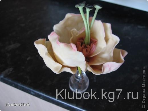 Мастер-класс, Материалы и инструменты, Поделка, изделие Лепка: самый простой рецепт холодного фарфора (мастики) БЕЗ КЛЕЯ!!! Фарфор холодный Отдых. Фото 11 Мастер-класс, Материалы и инструменты, Поделка, изделие Лепка: самый простой рецепт холодного фарфора (мастики) БЕЗ КЛЕЯ!!! Фарфор холодный Отдых. Фото 11