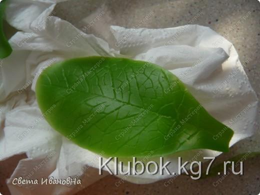 Здравствуйте!!!
Делюсь с вами мастер-классом по лепке гиперикума. Я в свои композиции люблю добавлять много мелкой красоты (маленькие цветочки, ягодки, плоды) иногда неизвестной Здравствуйте!!!
Делюсь с вами мастер-классом по лепке гиперикума. Я в свои композиции люблю добавлять много мелкой красоты (маленькие цветочки, ягодки, плоды) иногда неизвестной