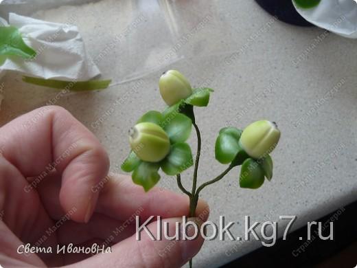 Здравствуйте!!!
Делюсь с вами мастер-классом по лепке гиперикума. Я в свои композиции люблю добавлять много мелкой красоты (маленькие цветочки, ягодки, плоды) иногда неизвестной Здравствуйте!!!
Делюсь с вами мастер-классом по лепке гиперикума. Я в свои композиции люблю добавлять много мелкой красоты (маленькие цветочки, ягодки, плоды) иногда неизвестной