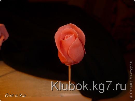 Мастер-класс,  Лепка, : Лепим соленую розу. Продолжение Тесто соленое 8 марта, . Фото 14 Мастер-класс,  Лепка, : Лепим соленую розу. Продолжение Тесто соленое 8 марта, . Фото 14