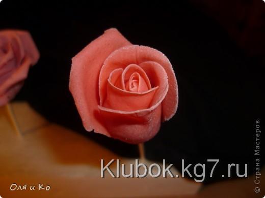 Мастер-класс,  Лепка, : Лепим соленую розу. Продолжение Тесто соленое 8 марта, . Фото 18 Мастер-класс,  Лепка, : Лепим соленую розу. Продолжение Тесто соленое 8 марта, . Фото 18