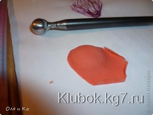 Мастер-класс,  Лепка, : Лепим соленую розу. Продолжение Тесто соленое 8 марта, . Фото 27 Мастер-класс,  Лепка, : Лепим соленую розу. Продолжение Тесто соленое 8 марта, . Фото 27