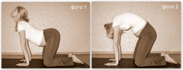 Упражнения для беременных при болях в спине и позвоночнике Упражнения для беременных при болях в спине и позвоночнике