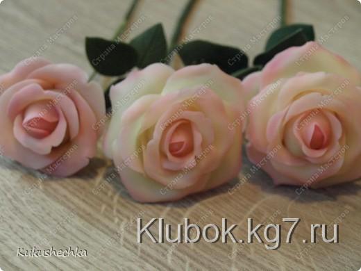 Мастер-класс, : Холодный фарфор. Изготовление Фарфор холодный . Фото 12 Мастер-класс, : Холодный фарфор. Изготовление Фарфор холодный . Фото 12