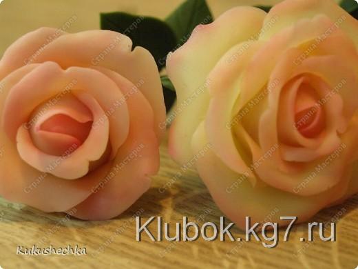 Мастер-класс, : Холодный фарфор. Изготовление Фарфор холодный . Фото 13 Мастер-класс, : Холодный фарфор. Изготовление Фарфор холодный . Фото 13