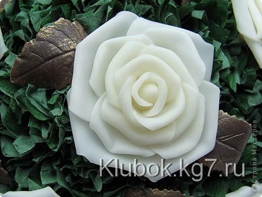 drevo_alena2_0 (520x392, 62Kb)