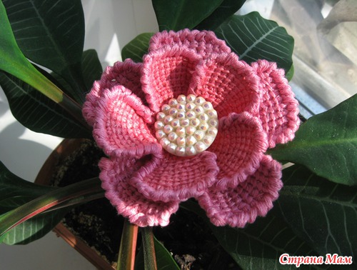 Вязаный цветок.