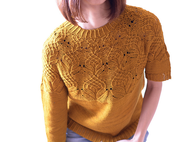 927050 (640x480, 204Kb)