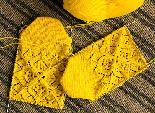 На зображенні може бути: мереживо