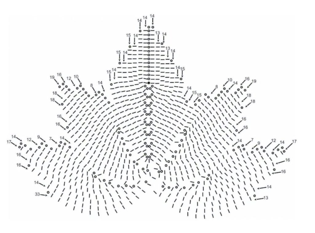 схема листа