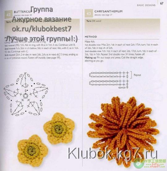 хризантема мохнатая (540x552, 44Kb)