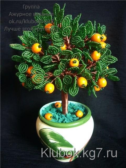 Апельсиновое дерево.