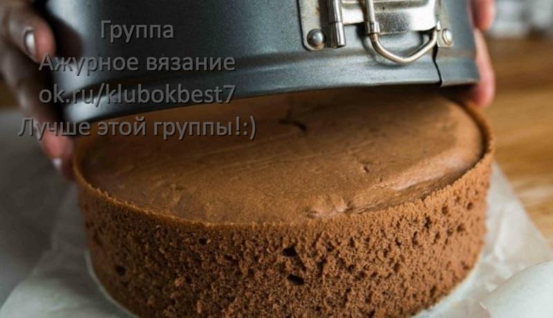 Простой рецепт шоколадного бисквита для торта
