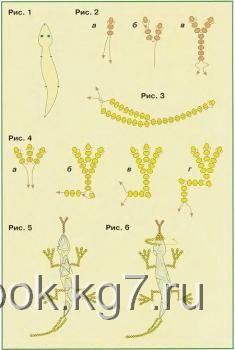 схема разноцветных ящериц из бисера