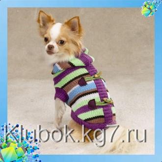 Вязанный свитер для собаки