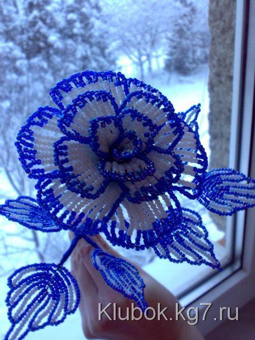 Схема розы Схема розы