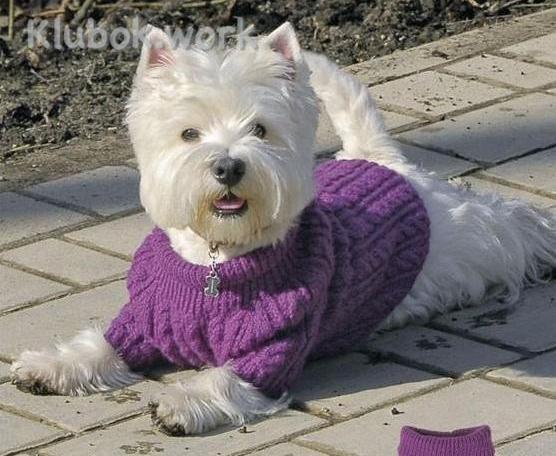 Утепляем питомцев Утепляем питомцев