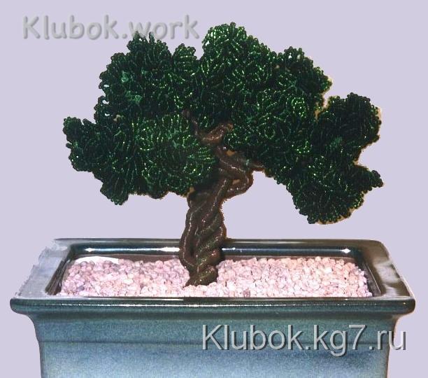 бонсай бонсай