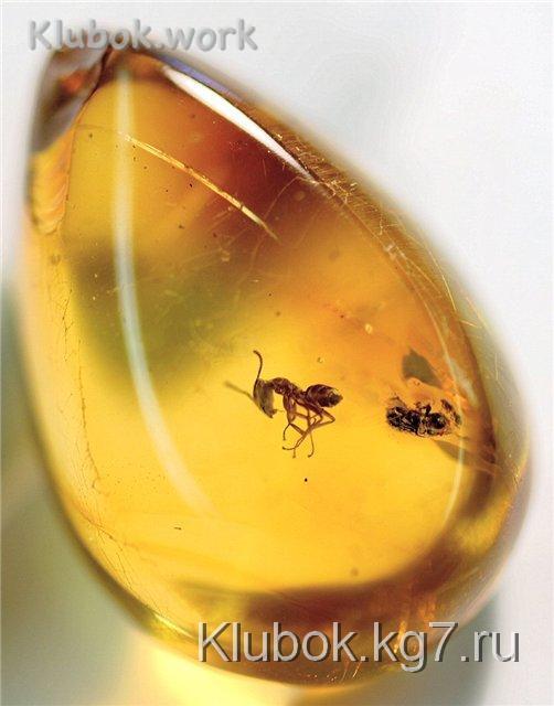 Имитация янтаря, делаем сами Имитация янтаря, делаем сами