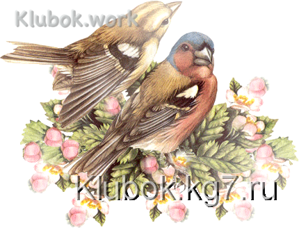 Винтажные птички (клипарт) Винтажные птички (клипарт)