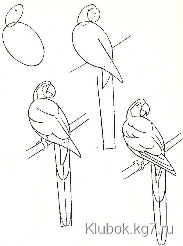 учимся рисовать учимся рисовать