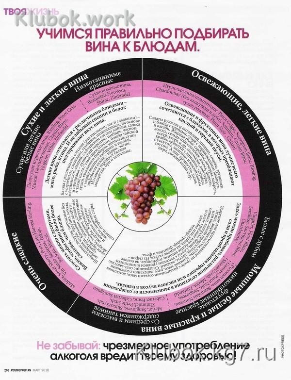 Учимся правильно подбирать вино к блюдам Учимся правильно подбирать вино к блюдам
