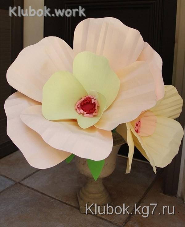 Цветы из бумаги. Цветы из бумаги.