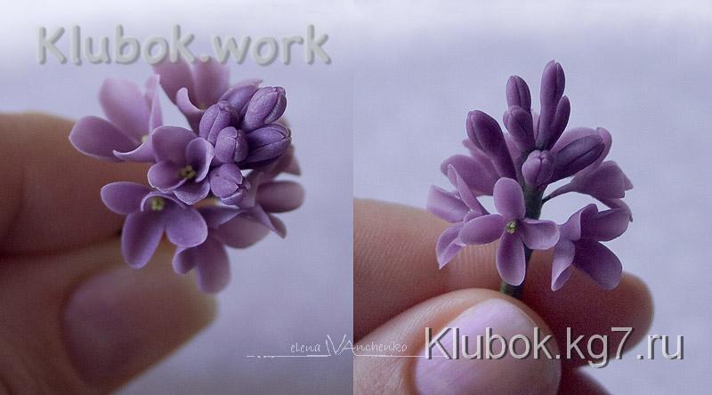 Простые цветы и веточка сирени Простые цветы и веточка сирени