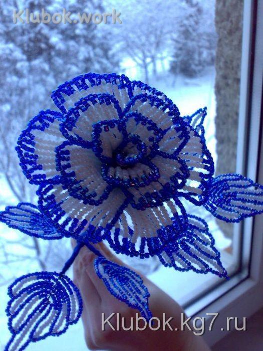 Схема розы Схема розы